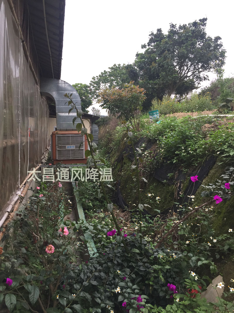 天氣太熱?環(huán)?？照{(diào)為你的餐廳守護清涼