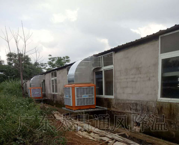 養(yǎng)殖場(chǎng)通風(fēng)降溫工程|潤(rùn)東方環(huán)?？照{(diào)方案設(shè)備